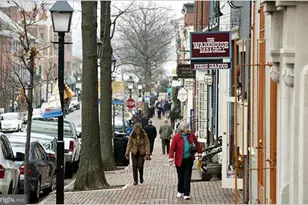 113 Fayette Street N, Alexandria, VA 22314 - Photo 5