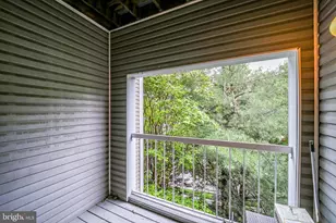 255 S Pickett St, Alexandria, VA 22304 - Photo 19