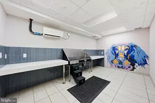 1201 N Royal St, Alexandria, VA 22314 - Photo 67