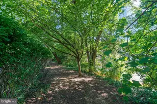 4667 Longstreet Ln, Alexandria, VA 22311 - Photo 47