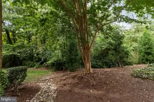 2814 S Columbus St, Arlington, VA 22206 - Photo 29