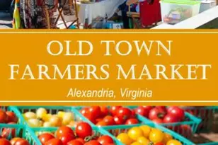 5801 Quantrell Ave, Alexandria, VA 22312 - Photo 15