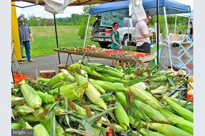 200 N Pickett Street #512, Alexandria, VA 22304 - Photo 51