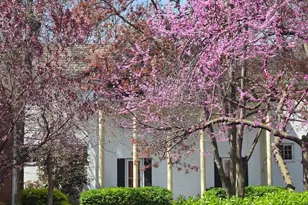 3380 Gunston Rd, Alexandria, VA 22302 - Photo 1