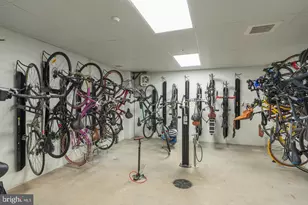 701 Swann Ave, Alexandria, VA 22301 - Photo 53