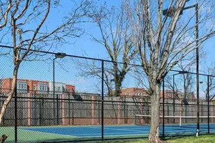 718 Hawkins Way, Alexandria, VA 22314 - Photo 41