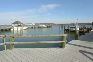 813 Wolfe St, Alexandria, VA 22314 - Photo 49