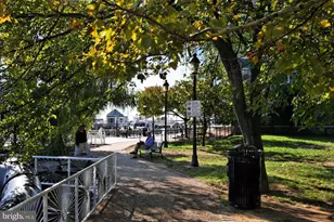 2050 Jamieson Ave, Alexandria, VA 22314 - Photo 39