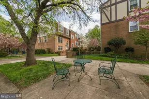 317 Nelson Ave, Alexandria, VA 22301 - Photo 27