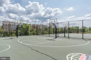 737 Swann Ave, Alexandria, VA 22301 - Photo 41