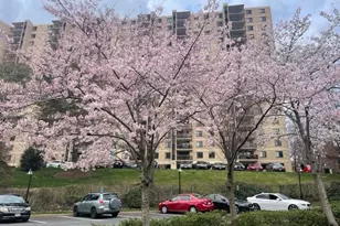 203 Yoakum Pkwy, Alexandria, VA 22304 - Photo 21