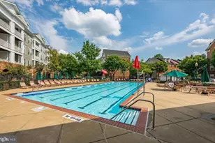 5114 Vos Ln, Alexandria, VA 22304 - Photo 45