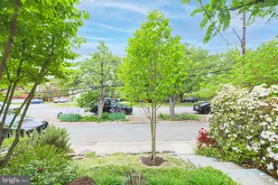 1107 Powhatan St, Alexandria, VA 22314 - Photo 5
