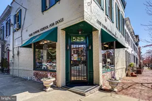 902 Oronoco St, Alexandria, VA 22314 - Photo 61