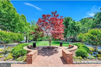 714 Bracey Lane, Alexandria, VA 22314 - Photo 57