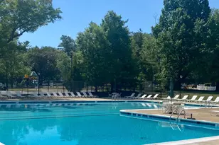 3702 Valley Dr, Alexandria, VA 22302 - Photo 35