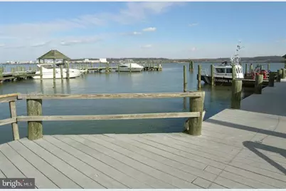 812 Prince Street #APT 2, Alexandria, VA 22314 - Photo 31