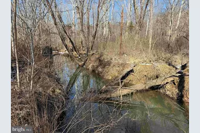 State Hwy. 15 (Tract: Tonguequarter), Dillwyn, VA 23936 - Photo 15