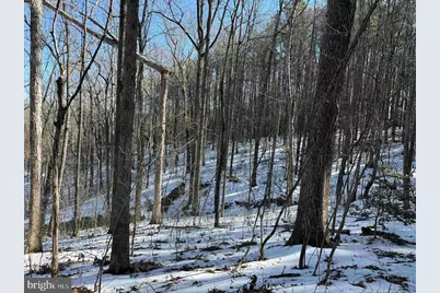 State Hwy. 15 (Tract: Tonguequarter), Dillwyn, VA 23936 - Photo 13