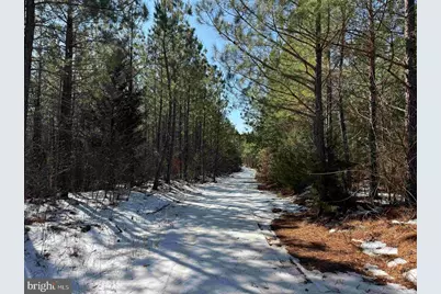 State Hwy. 15 (Tract: Tonguequarter), Dillwyn, VA 23936 - Photo 7
