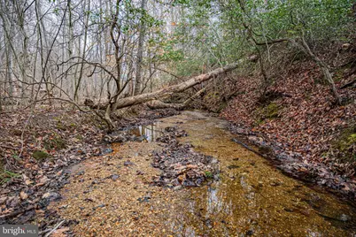 Tbd Troublesome Creek Rd, Buckingham, VA 23921 - Photo 7