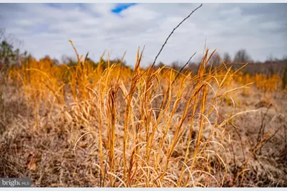 Tbd Troublesome Creek Rd, Buckingham, VA 23921 - Photo 29