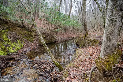 Tbd Troublesome Creek Rd, Buckingham, VA 23921 - Photo 9