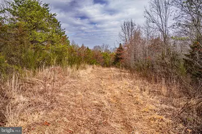 Tbd Troublesome Creek Rd, Buckingham, VA 23921 - Photo 5