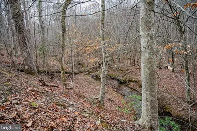 Tbd Troublesome Creek Rd, Buckingham, VA 23921 - Photo 11