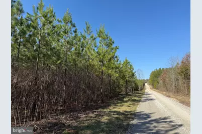 1 Maple Bridge Rd, Dillwyn, VA 23936 - Photo 17