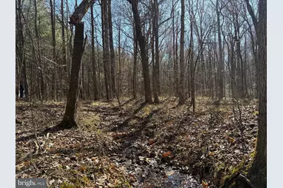 1 Maple Bridge Rd, Dillwyn, VA 23936 - Photo 21