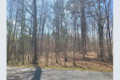 Texas School Road, Buckingham, VA 23921 - Photo 3