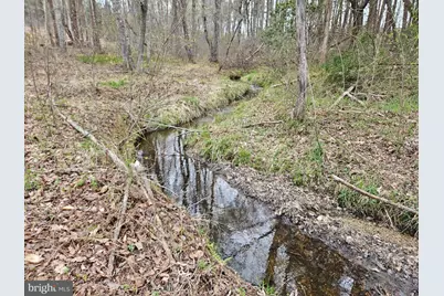 83.84 Ac S James River Road, Buckingham, VA 23921 - Photo 15