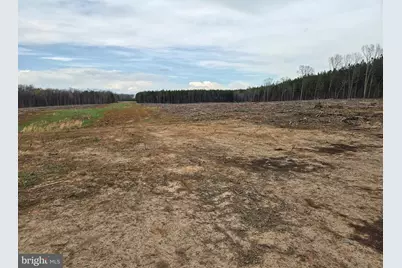 83.84 Ac S James River Road, Buckingham, VA 23921 - Photo 19