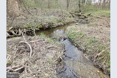 83.84 Ac S James River Road, Buckingham, VA 23921 - Photo 13