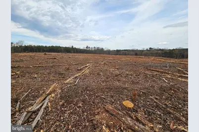 83.84 Ac S James River Road, Buckingham, VA 23921 - Photo 7