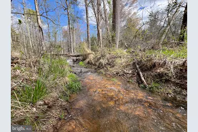 116.32 Acres Gilliam Mill Road, Dillwyn, VA 23936 - Photo 23
