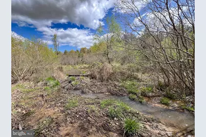 116.32 Acres Gilliam Mill Road, Dillwyn, VA 23936 - Photo 19