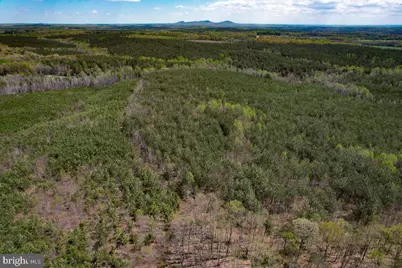 116.32 Acres Gilliam Mill Road, Dillwyn, VA 23936 - Photo 43
