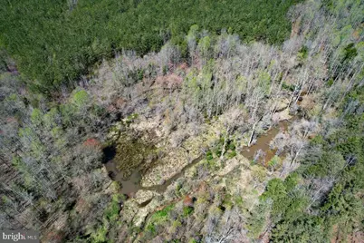 116.32 Acres Gilliam Mill Road, Dillwyn, VA 23936 - Photo 21