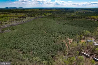 116.32 Acres Gilliam Mill Road, Dillwyn, VA 23936 - Photo 39