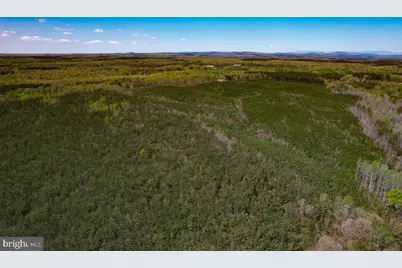 116.32 Acres Gilliam Mill Road, Dillwyn, VA 23936 - Photo 27
