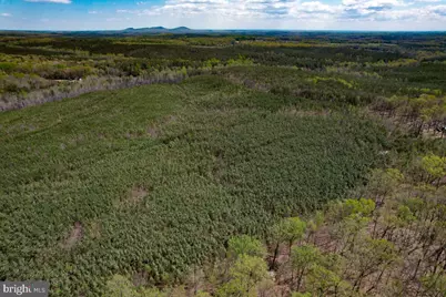 116.32 Acres Gilliam Mill Road, Dillwyn, VA 23936 - Photo 41