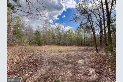 116.32 Acres Gilliam Mill Road, Dillwyn, VA 23936 - Photo 5
