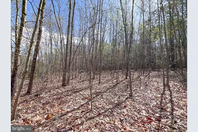 116.32 Acres Gilliam Mill Road, Dillwyn, VA 23936 - Photo 31
