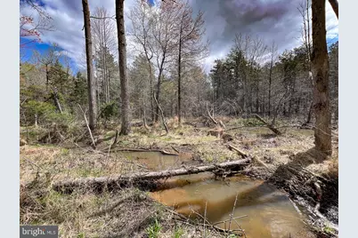 116.32 Acres Gilliam Mill Road, Dillwyn, VA 23936 - Photo 25