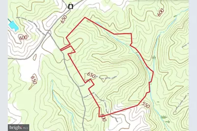 116.32 Acres Gilliam Mill Road, Dillwyn, VA 23936 - Photo 45