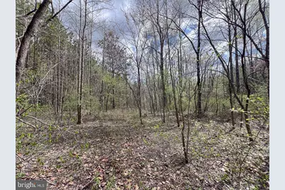 116.32 Acres Gilliam Mill Road, Dillwyn, VA 23936 - Photo 11