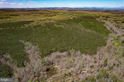 116.32 Acres Gilliam Mill Road, Dillwyn, VA 23936 - Photo 17