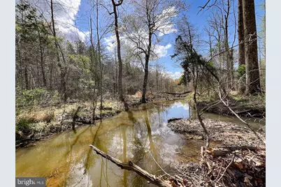 116.32 Acres Gilliam Mill Road, Dillwyn, VA 23936 - Photo 3